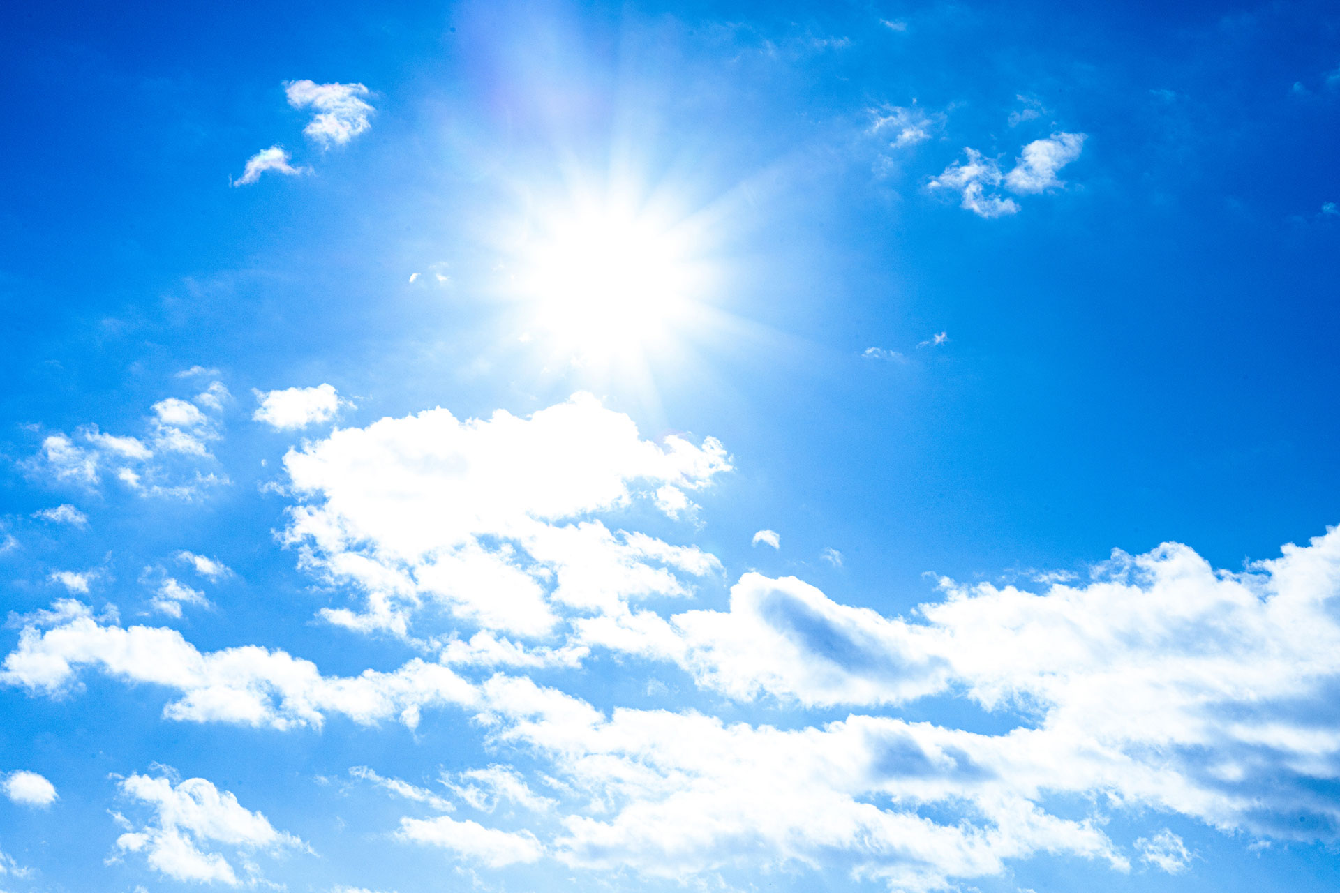 私たちについて