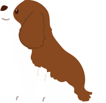 ご利用者様もご家族も笑顔になれる訪問看護を目指して