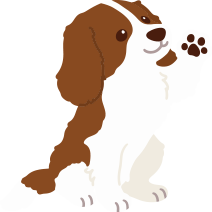 ご利用者様もご家族も笑顔になれる訪問看護を目指して