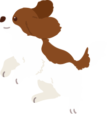 ご利用者様もご家族も笑顔になれる訪問看護を目指して