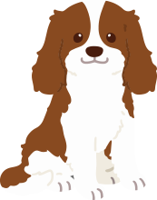 株式会社一期一会