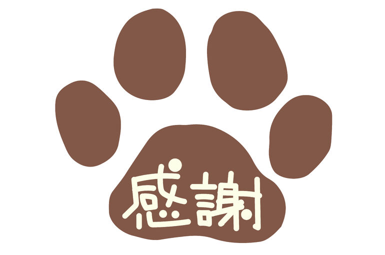 ≪お知らせ≫ 令和7年11月18日 家族教室が無事に終了しました