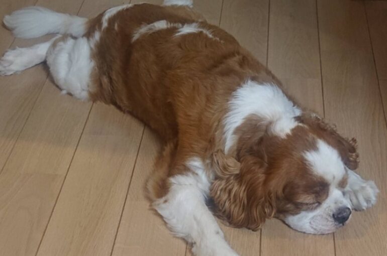 年末年始休暇のお知らせ