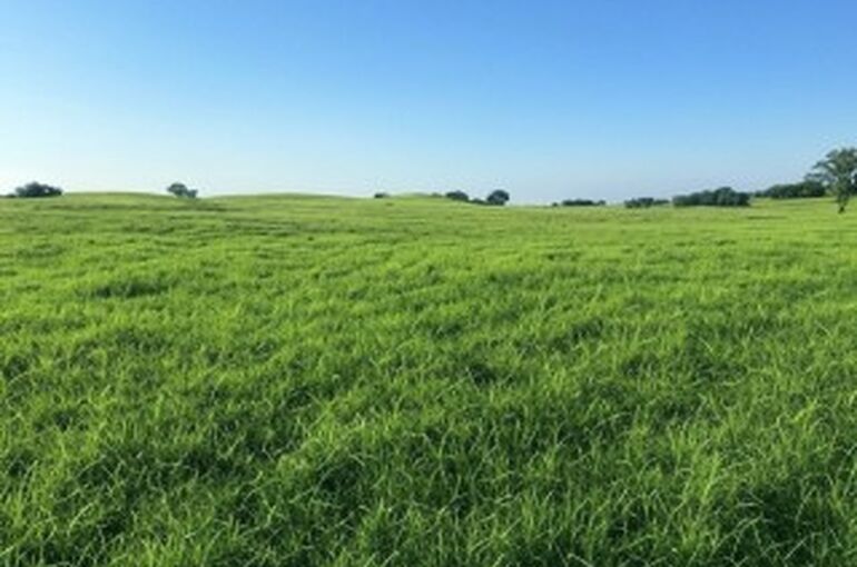 ここあい便り②～ケアマネジャーさんからよくある質問～